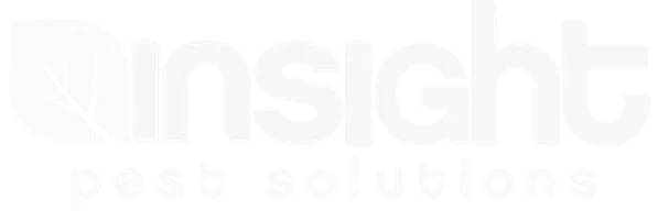 white insight logo