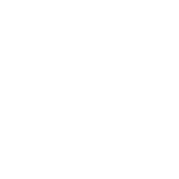 Fly My Ride logo with stylized car and wing design for mobile detailing service in white on black background