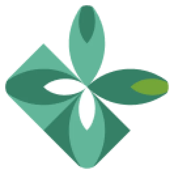 Abstract green geometric flower with four petals and overlapping shapes on a transparent background