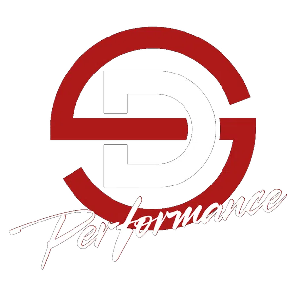 Red and white DG Performance logo featuring stylized letters and cursive text on transparent background
