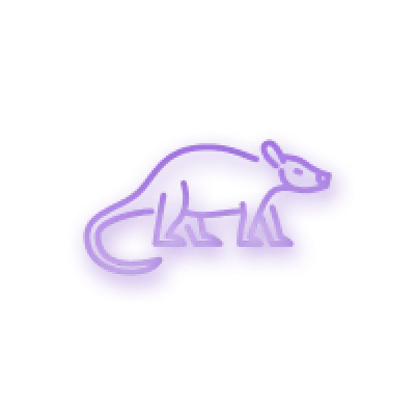 Purple neon outline of a small rodent with a long tail on a black background