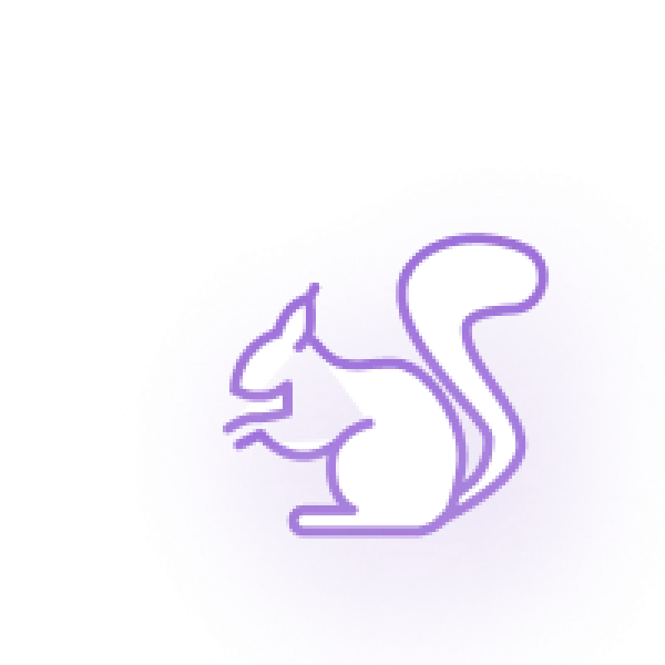 Black squirrel silhouette with bushy tail on a purple circular background with pixelated edges.