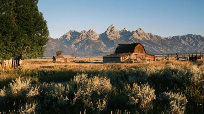 The Best SEO company for Wyoming Businesses