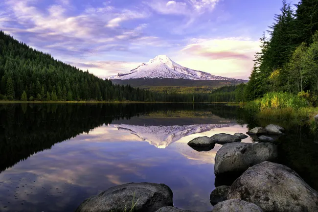 The Best SEO Agency for Oregon Businesses