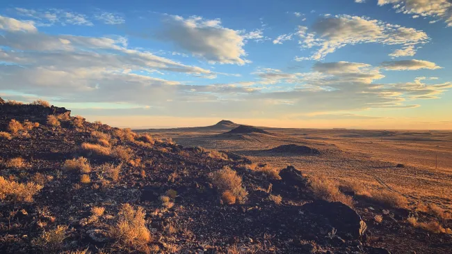 The Best SEO Agency for New Mexico Businesses