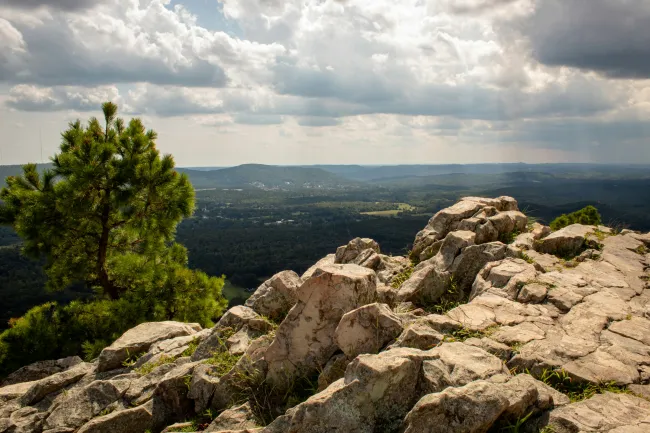 Rocky mountain summit with a lone pine tree overlooking a vast forested valley under a cloudy sky