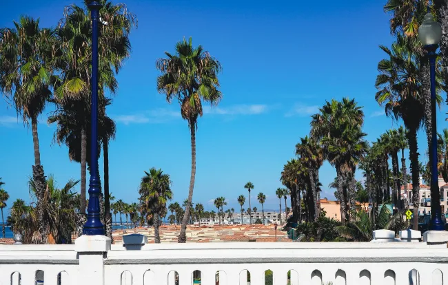 The Best SEO Agency for Oceanside Businesses