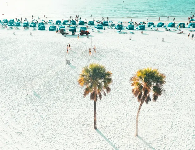 The Best SEO Agency for Cape Coral, FL Businesses
