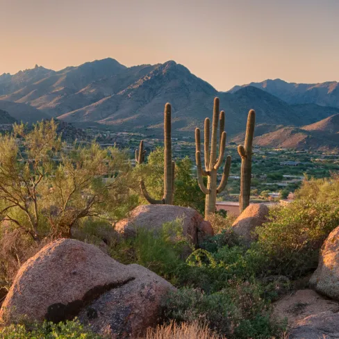 Scenic view of mountains and cacti in a desert landscape during golden hour.