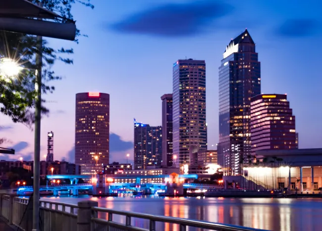 tampa seo services