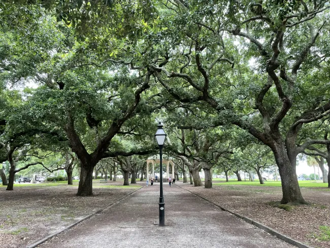 The Best SEO Agency for Savannah, GA Businesses