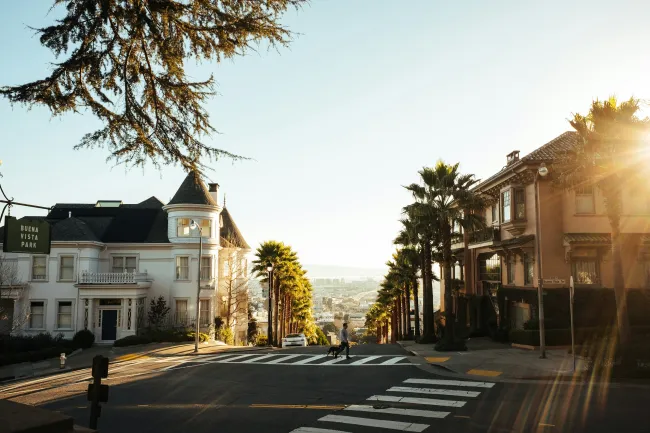 Scenic view of a tree-lined street with colorful houses and sunlight peeking over the horizon.