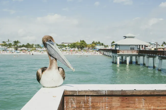 The Best SEO Agency for Fort Myers, FL Businesses