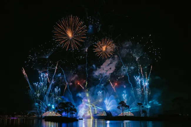 fireworks in the sky