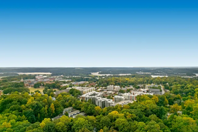 The Best SEO Agency for Greenville, SC Businesses