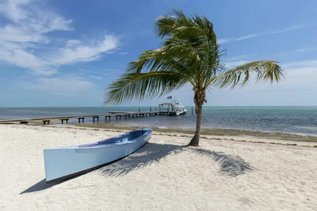 a surfboard on a beach