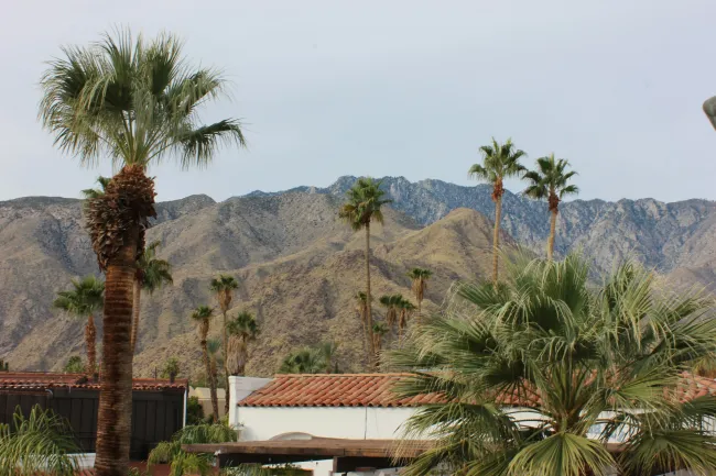 Palm trees with red-tiled roofs and desert mountains in the background under a clear sky.