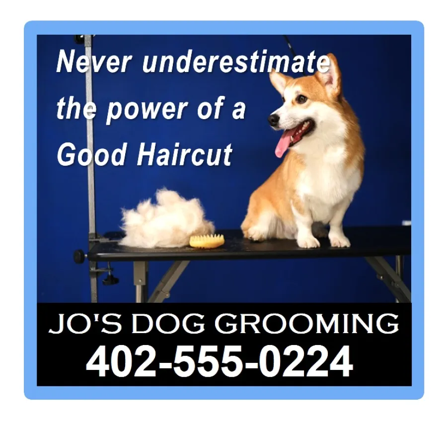 A promotional Magnet showing a dog