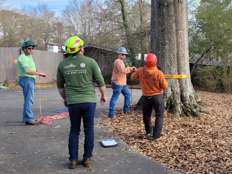 a group of people in construction gear