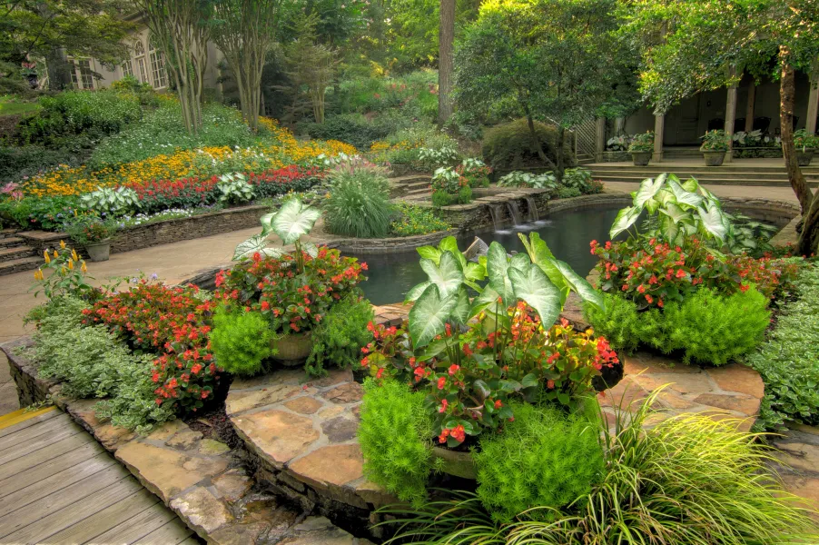 a garden with plants and flowers