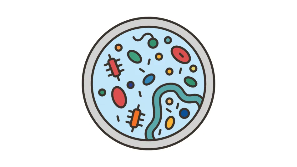 MRSA Prevention
