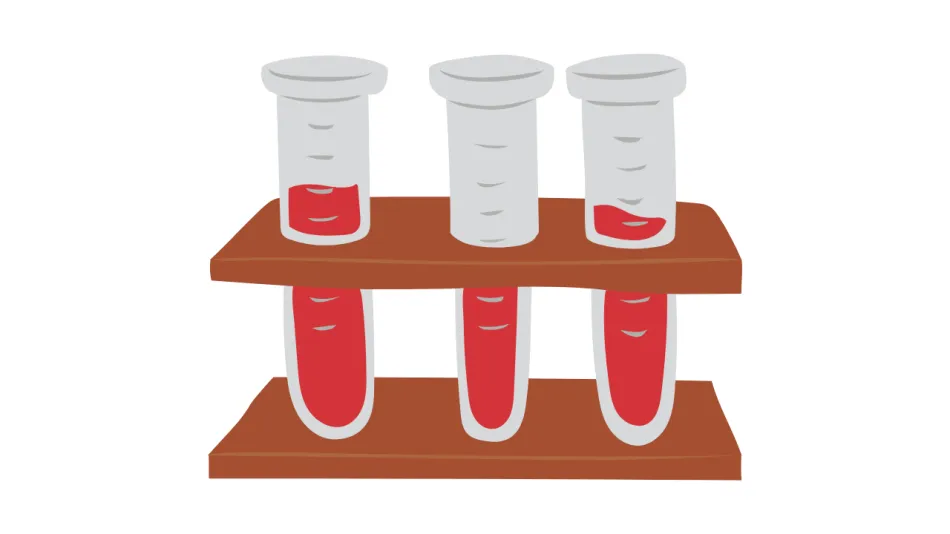 bloodborne pathogens II