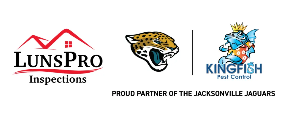 LunsPro & Kingfish logos