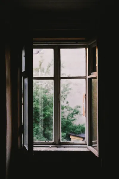 a window with trees outside