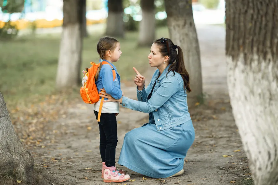 What is legal custody?