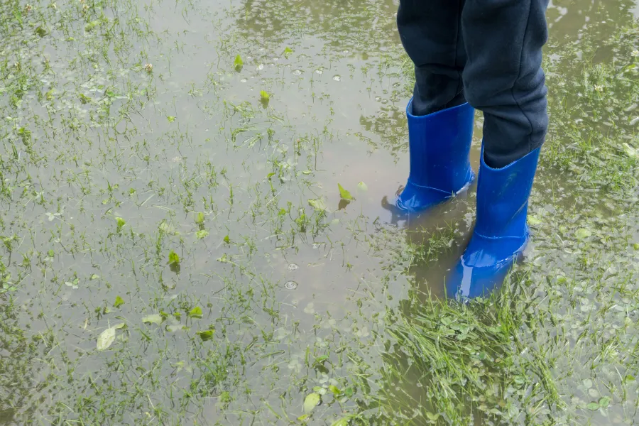 a person wearing blue boots and blue boots walking in a puddle
