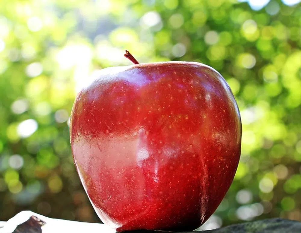 apples
