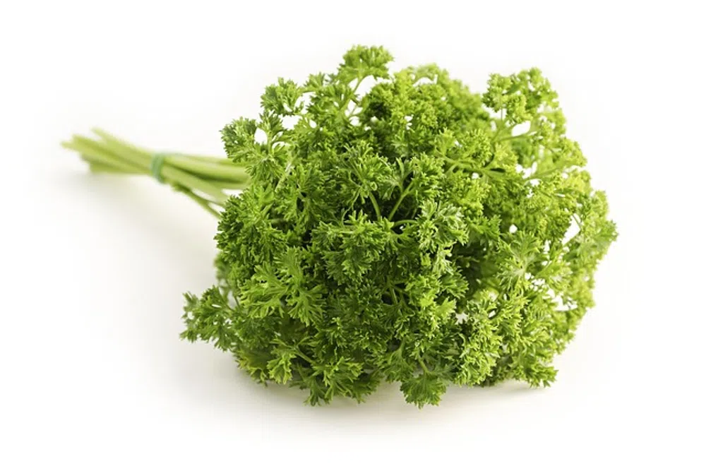 Parsley