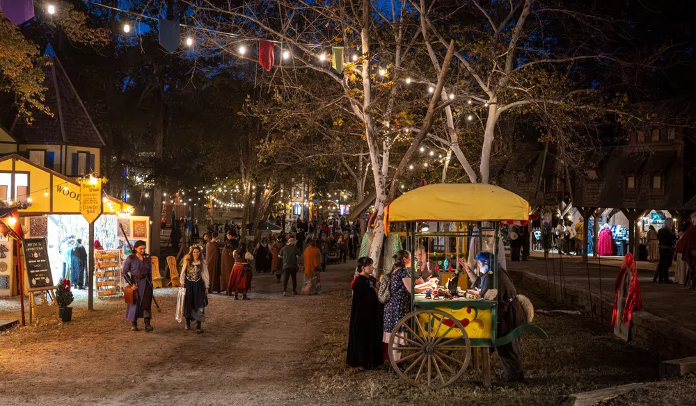 A busy market lane of artisan shoppes and handmade goods during Royal Market Days