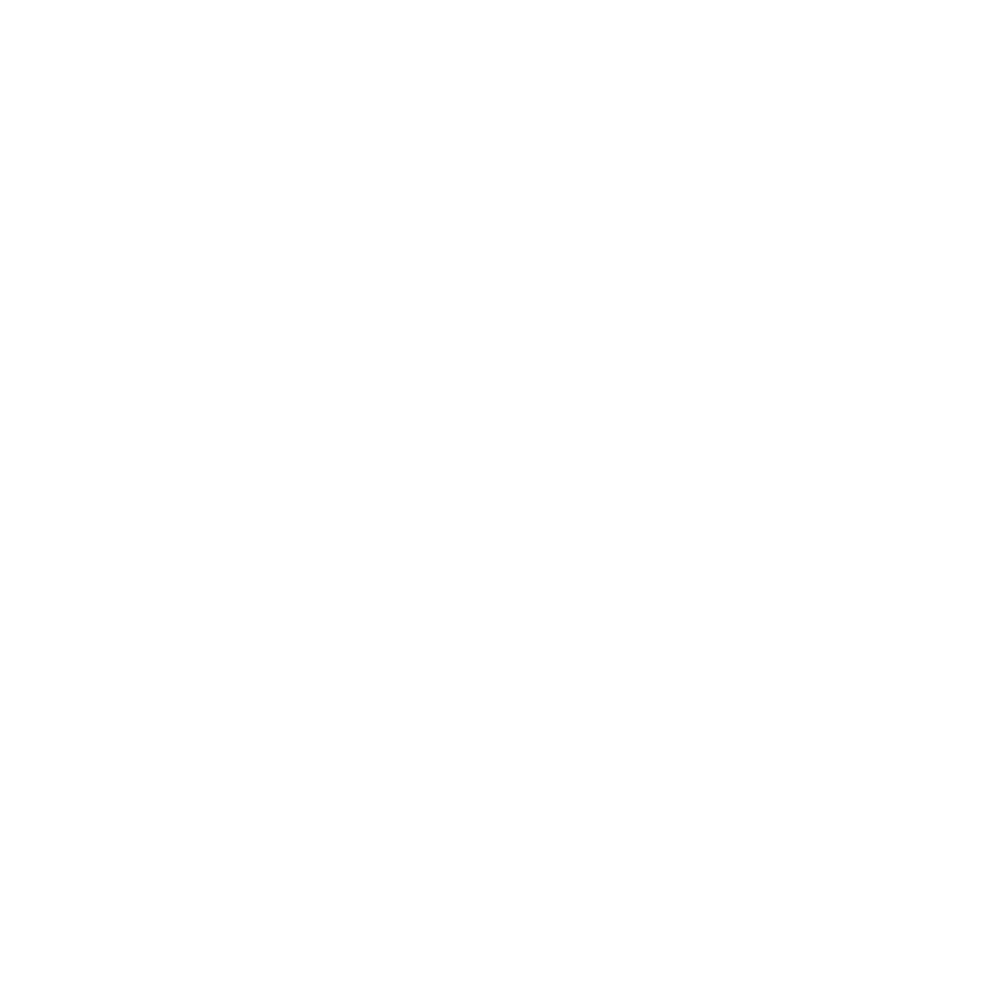 phone-icon