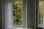 Two white framed windows with sheer curtains revealing green and yellow autumn trees outside.