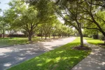 a sidewalk with trees and grass