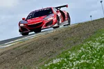 Red racing car speeding uphill on a race track with grass and flowers in the foreground under a cloudy sky