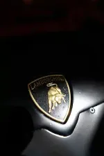 Close-up of the Lamborghini emblem featuring a golden bull on a black shield background on a car's surface.