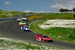 Red race car leading a pack of sports cars on a winding race track surrounded by green fields and white flowers.