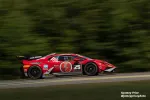 Red Lamborghini race car number 25 speeding on a race track with blurred green background.