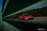 Red and black race cars speeding on a track with green trees and guardrails under a clear blue sky.