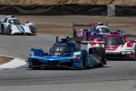 Four high-performance race cars cornering on a sunlit race track during competitive motorsport event.