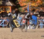Two medieval knights in armor engaged in a staged sword fight during a fall festival with autumn trees in the background