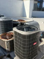 Heating Furnace Repair in Sandy Springs 30350 by The Air Company of GA.  Outdoor HVAC units on a concrete rooftop under clear sky during daytime