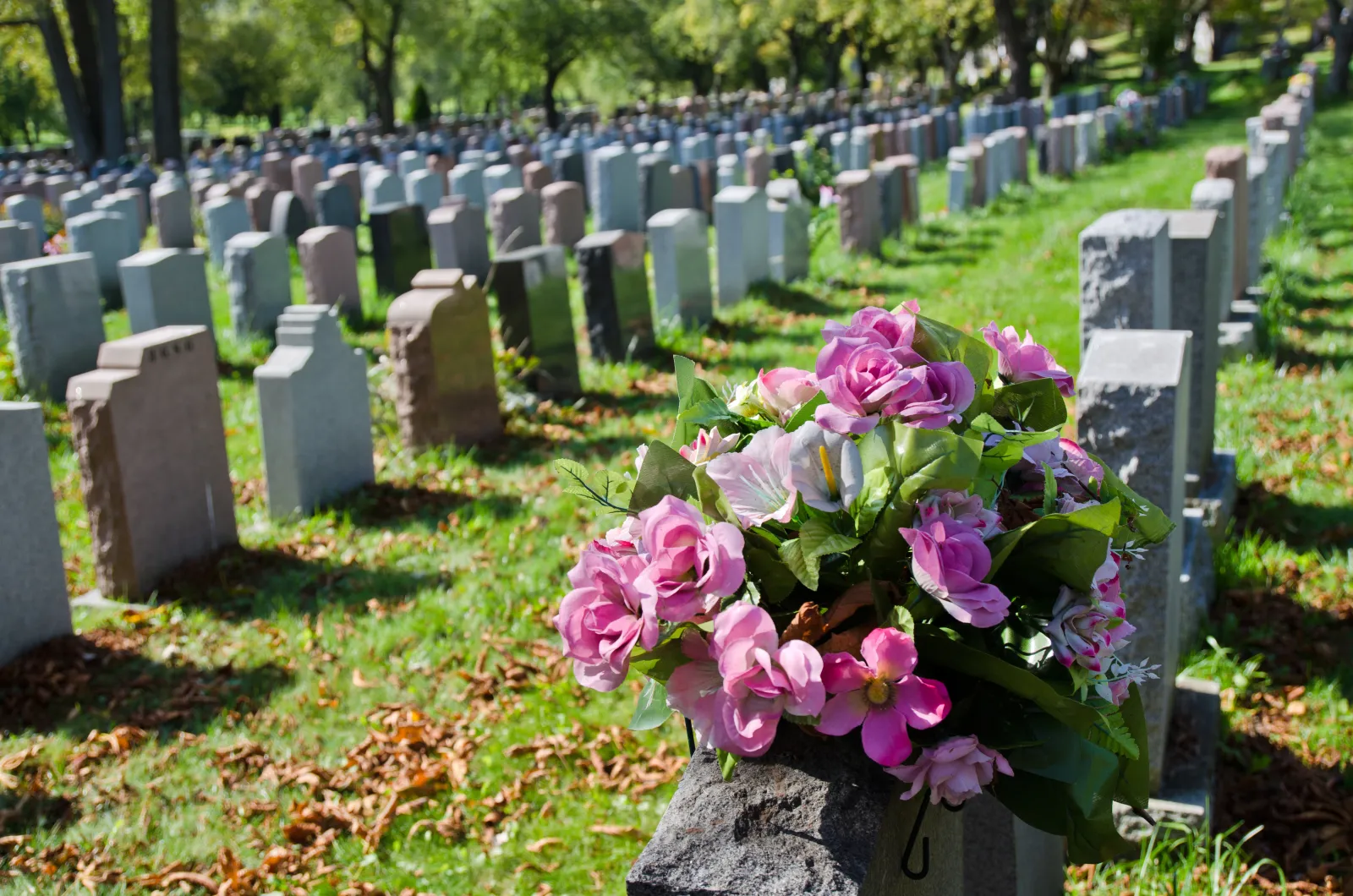 Flowers at a grave