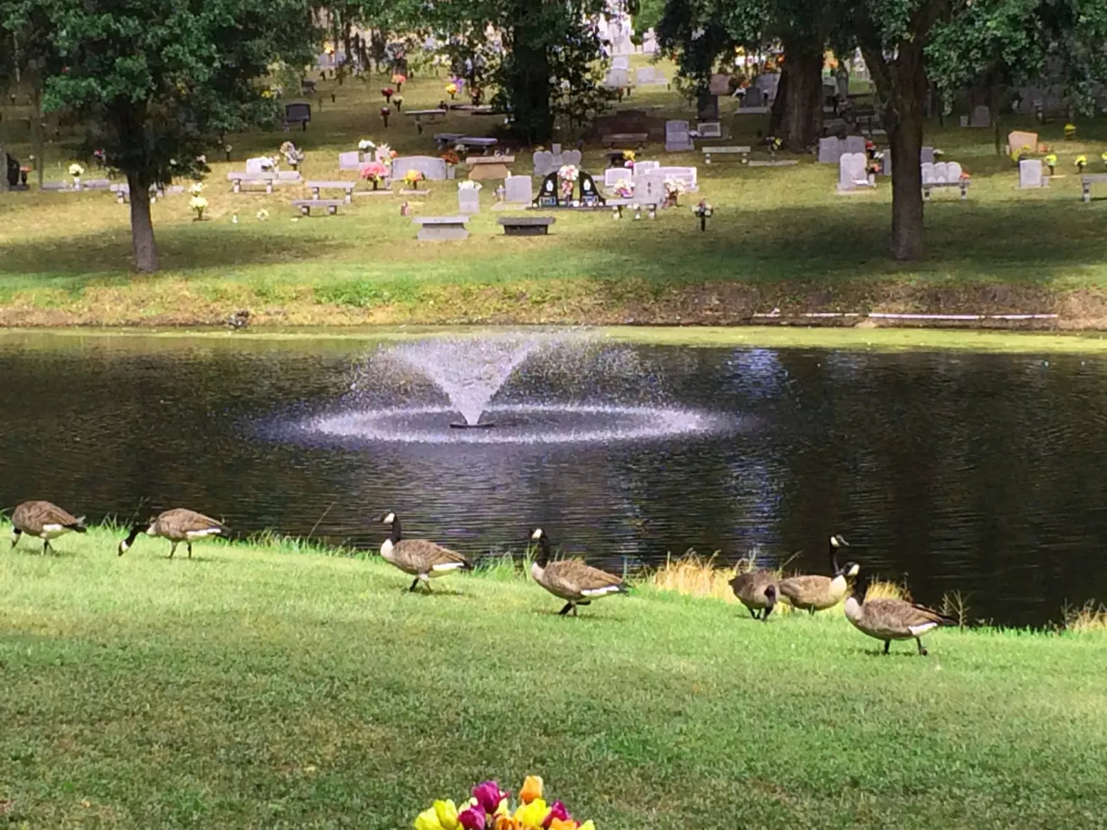 Jacksonville, Florida cemetery near Arlington Funeral Home. 