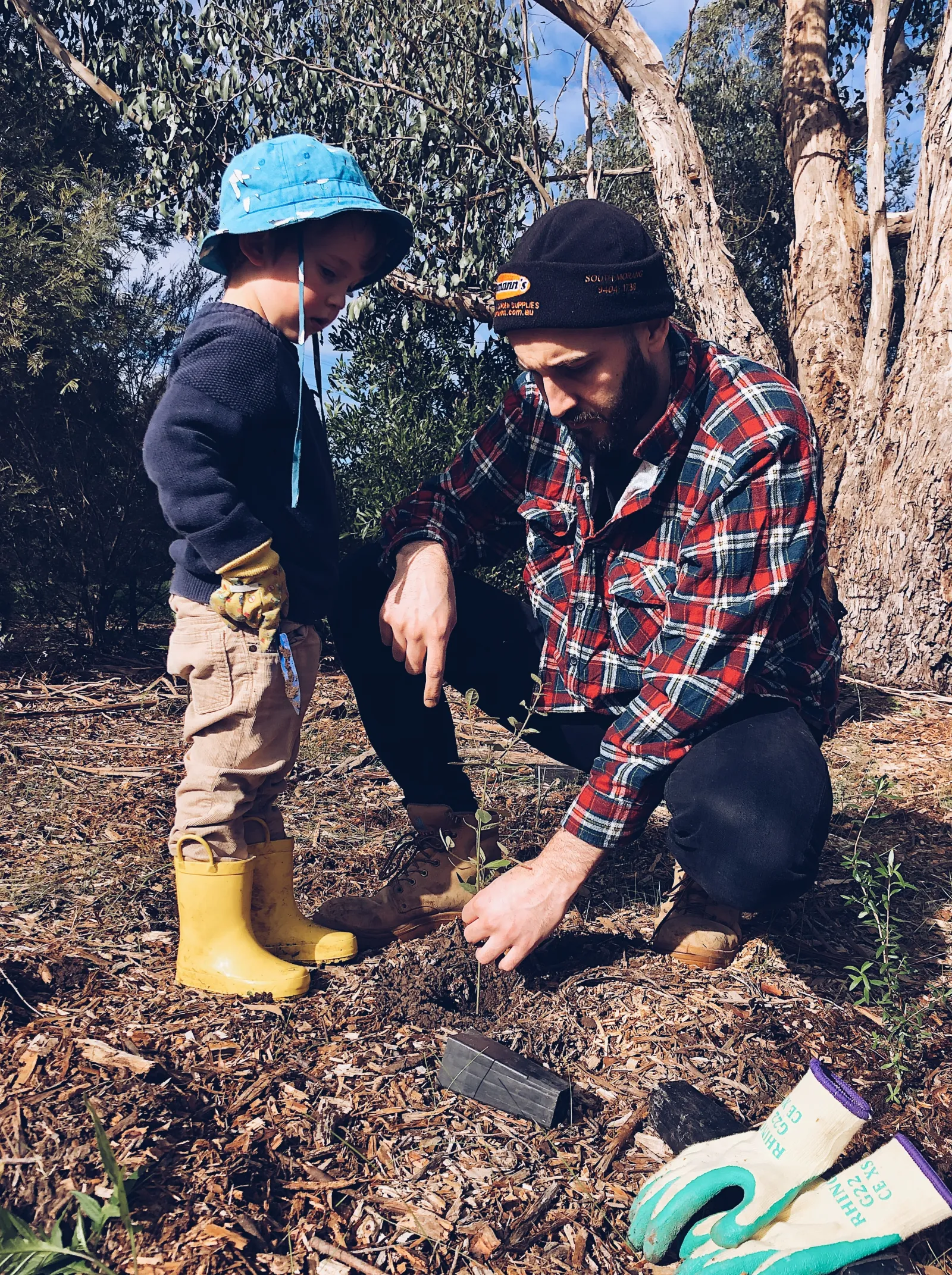 Father and son planting a tree