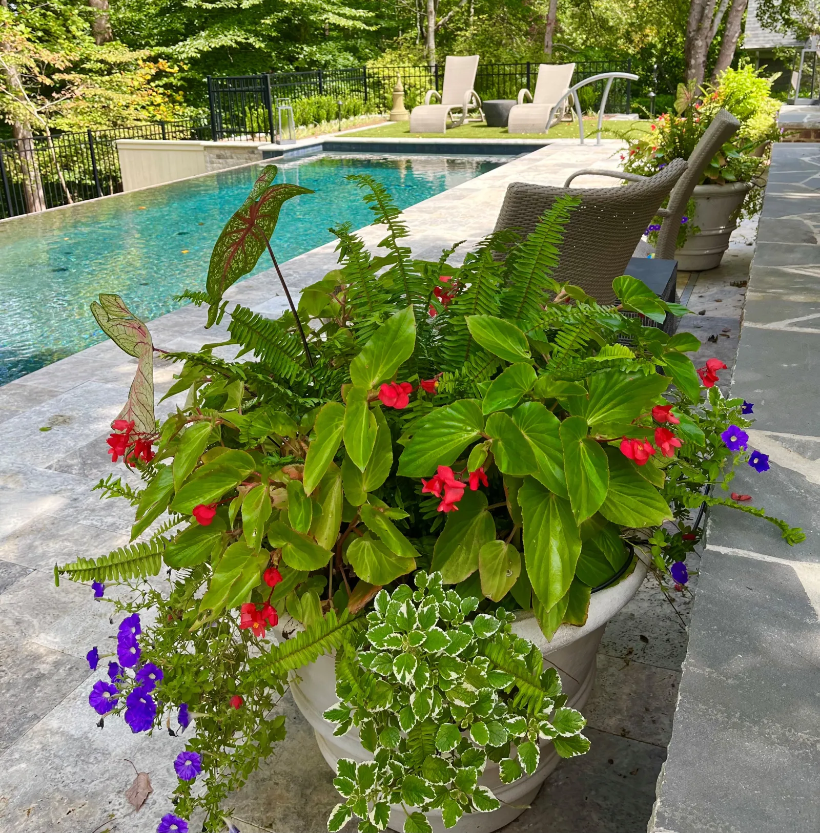 container flowers next to pool with hardscape