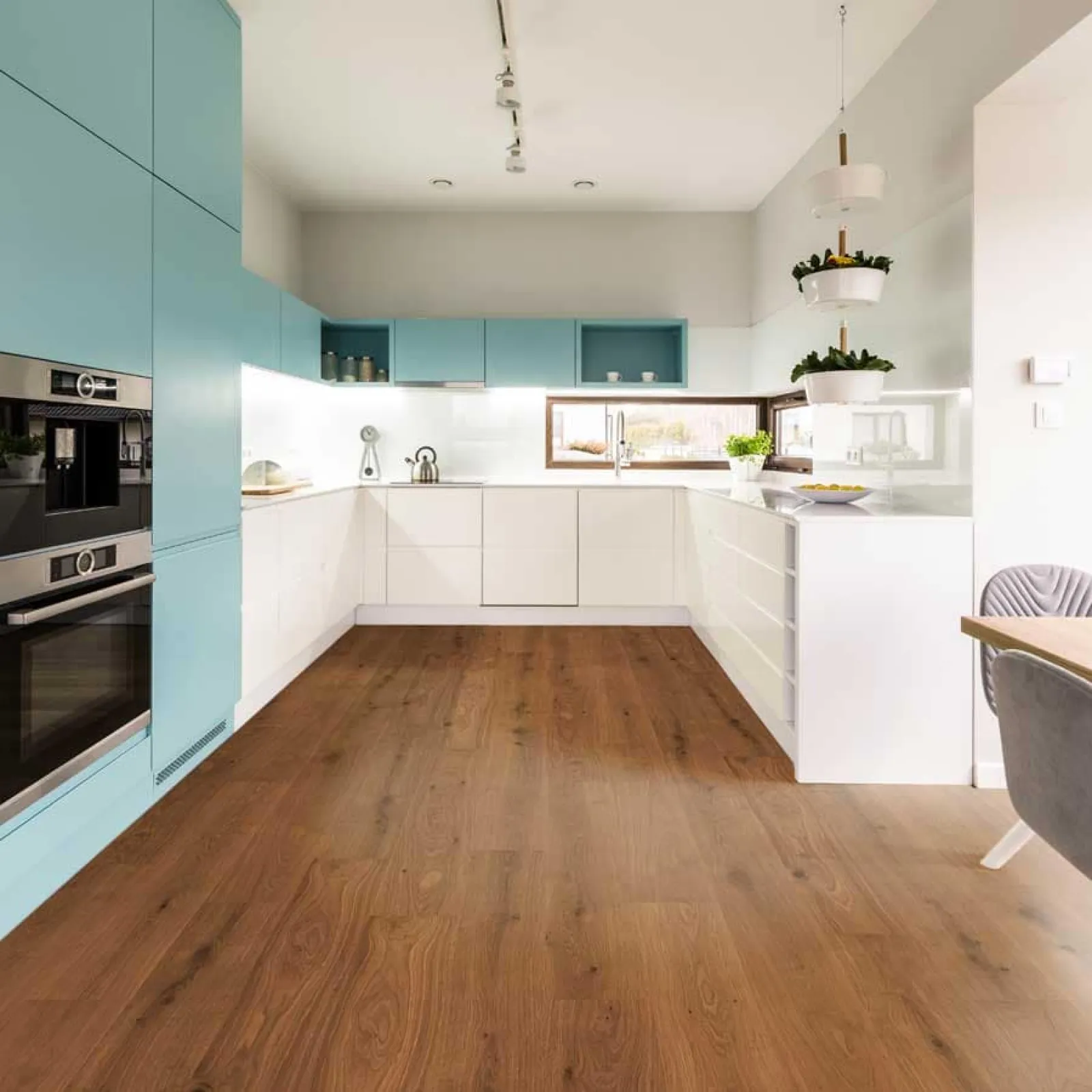 Modern kitchen with blue and white cabinets, wood floor, built-in appliances, and pendant plant holders by window.