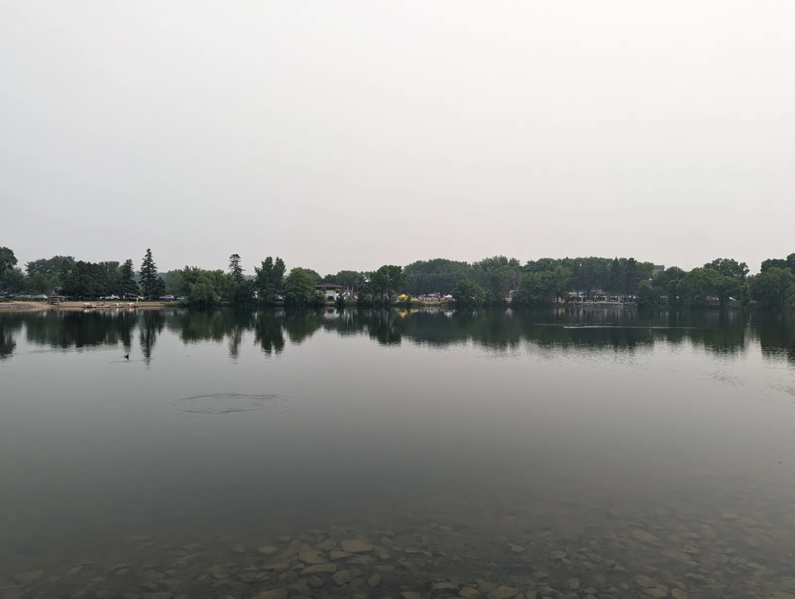 Calm lake with clear water reflecting trees and overcast sky, shoreline visible with scattered rocks beneath water.